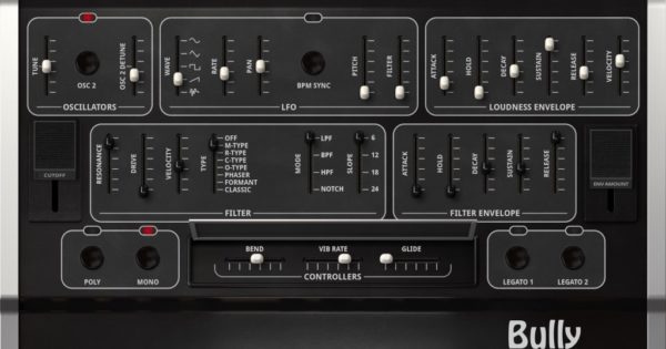 Ik Multimedia Syntronyk Bully virtual synth instrument analog producer strumenti musicali