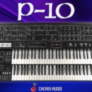 Cherry Audio P-10